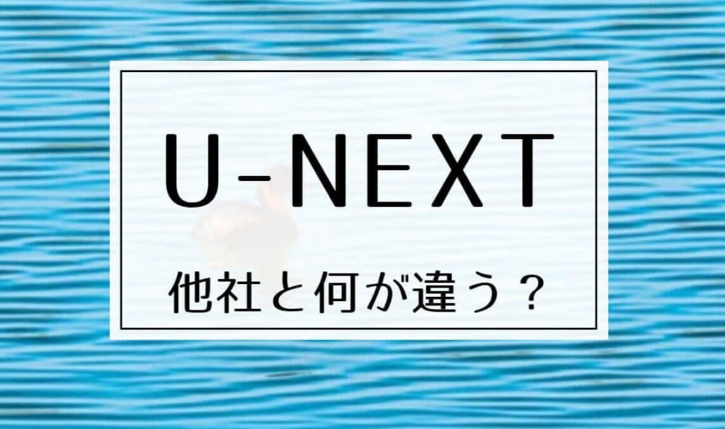 U Nextを韓国ドラマ愛好家におすすめする6つの理由 他社と何が違う キムチチゲはトマト味