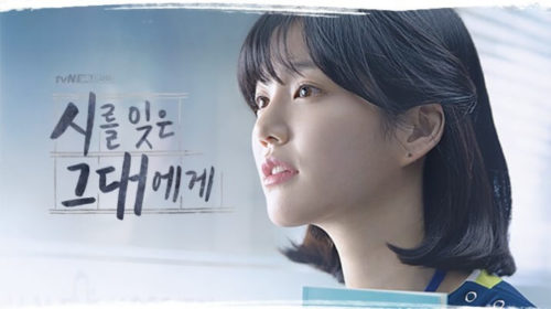 ラブセラピー(韓国ドラマ詩を忘れたあなたに)キャスト・感想・視聴率 キムチチゲはトマト味