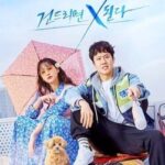 韓国ドラマこのエリアのクレイジーX