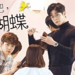 舞い上がれ、蝶韓国ドラマ
