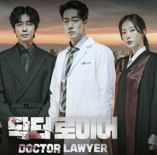 ドクター弁護士韓国ドラマ